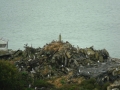 Alcatraz